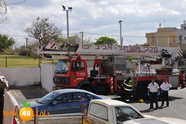 fireshekonatelarab (6).JPG